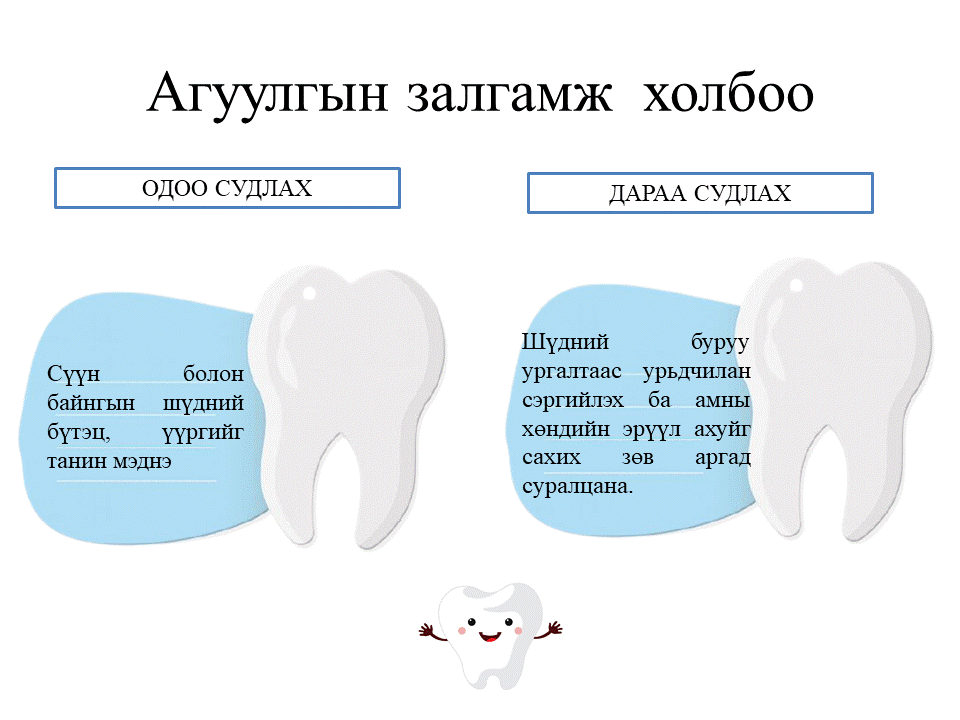Мэдлээ | Цахим контент